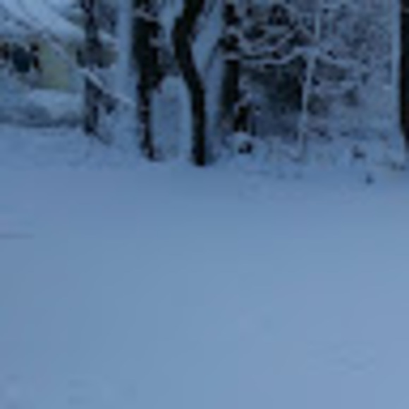 Meet your Posher, Roserard - Picture 1 of 1